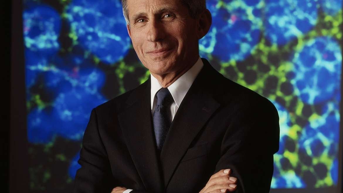 dr fauci