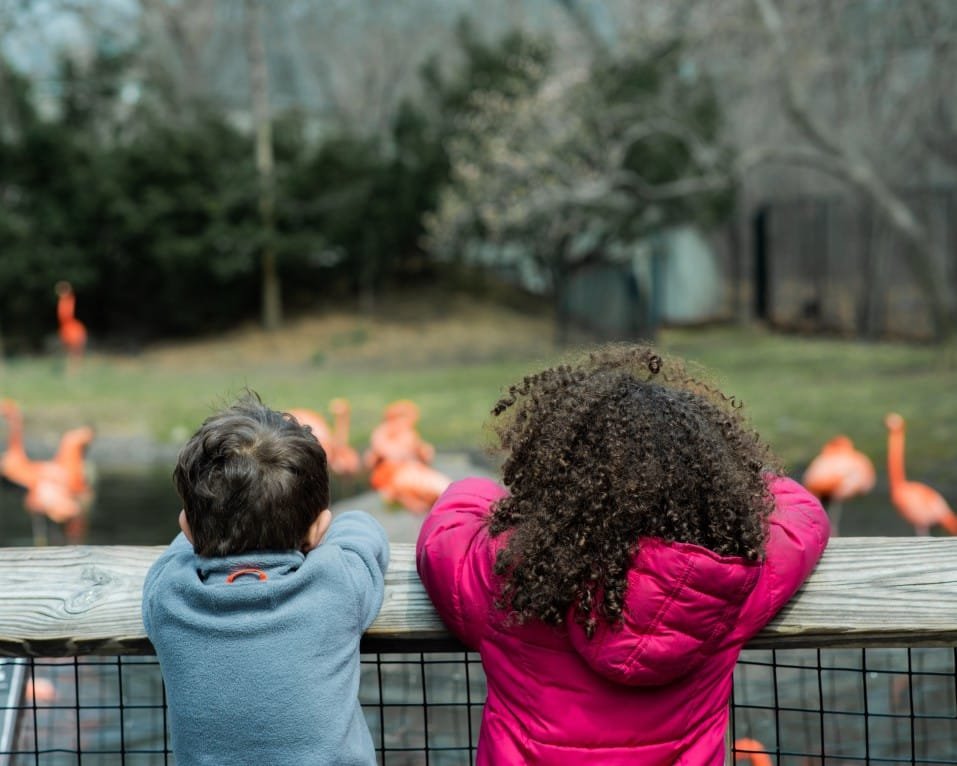 “Animal Rights” Activists’ Failed Attempt To Cancel Texas Safari & Zoo, Hypocrisy Exposed