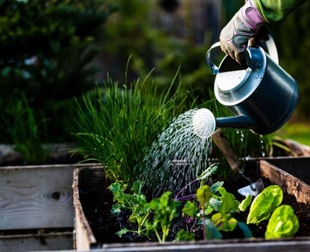 Daily Habits That Are Good for the Environment