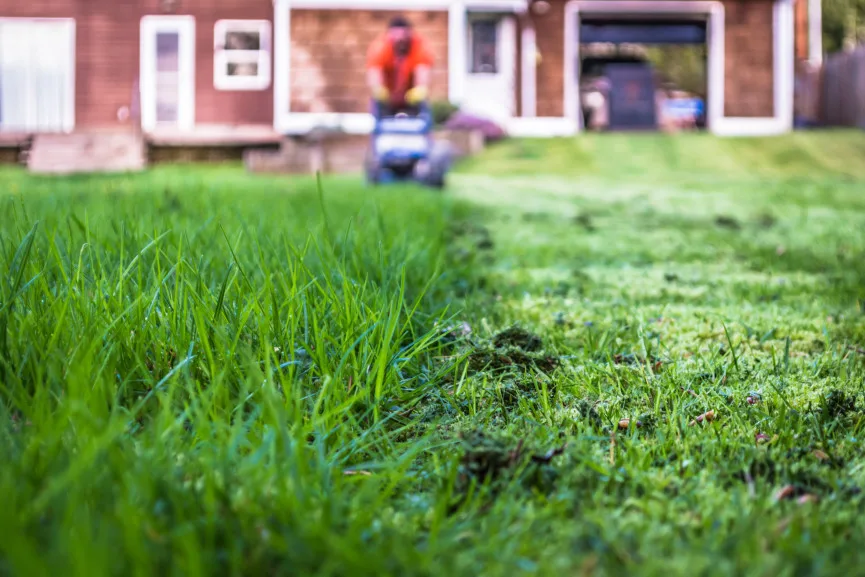 Outdoor home improvement ideas