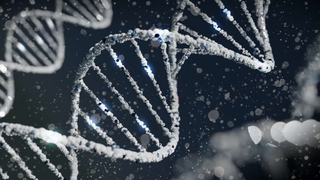 Are DNA Based Diets Effective?