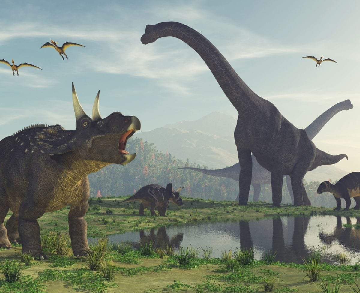 Things Movies Tend To Get Wrong About Dinosaurs Things Movies Tend To Get Wrong About Dinosaurs