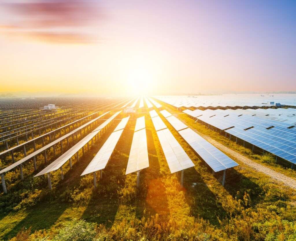 Things To Consider When Combating Climate Change