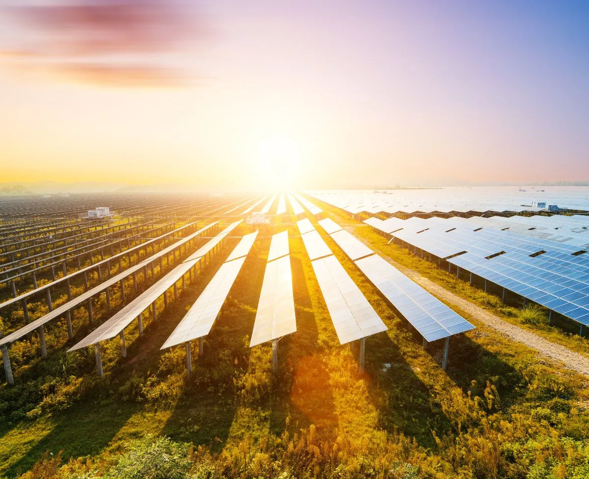 Things To Consider When Combating Climate Change