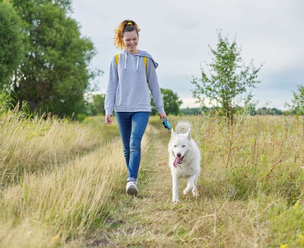 Simple and Different Ways To Walk Your Dog