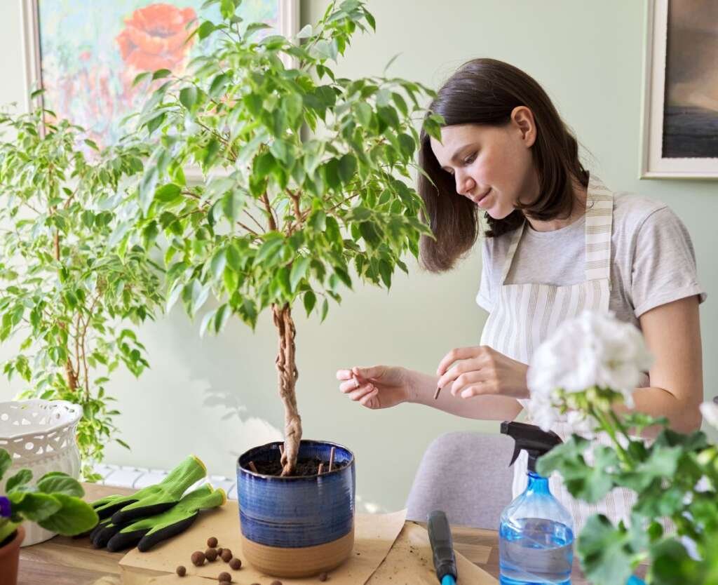 Plants That Any Beginner Can Grow With Ease