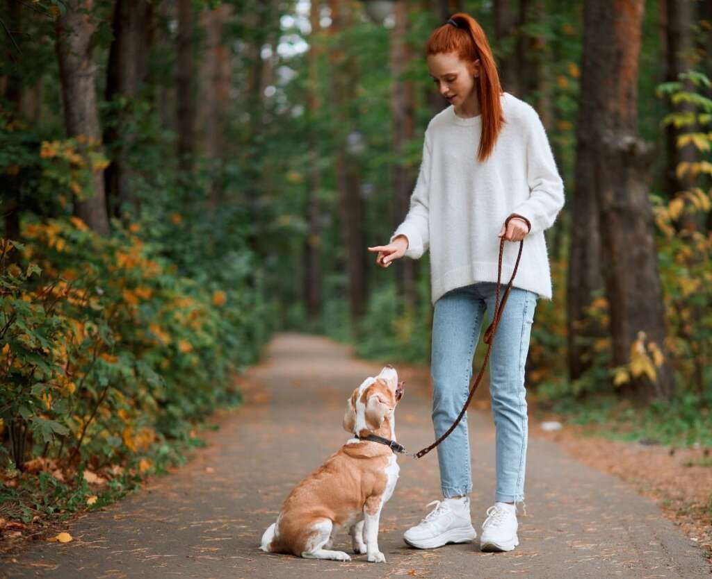 Reasons To Bring Your Dog Anywhere You Can