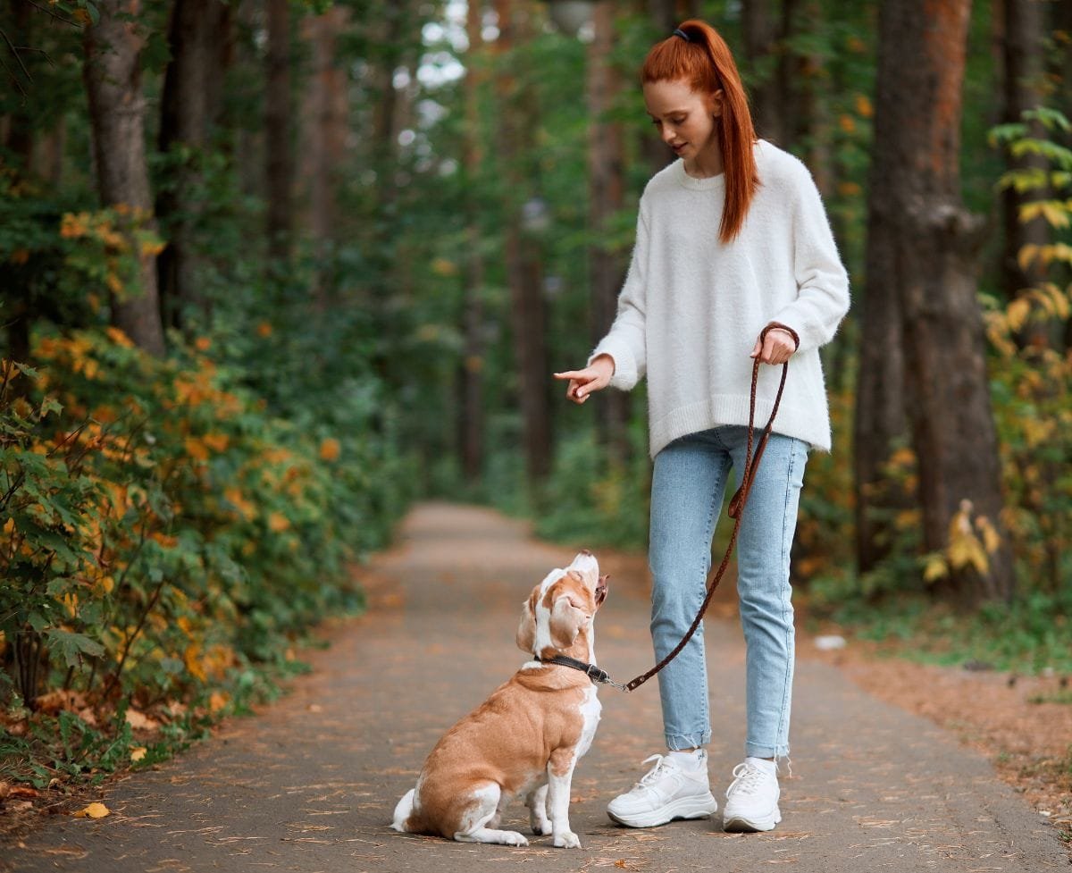 Reasons To Bring Your Dog Anywhere You Can