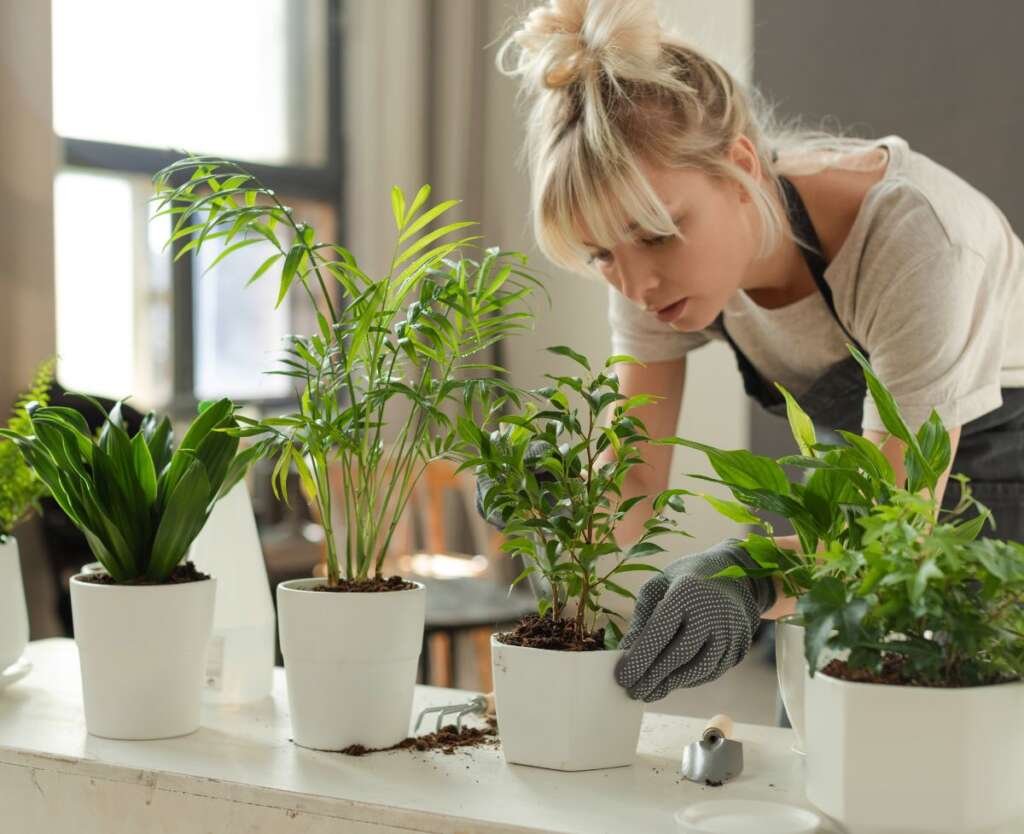 Tips for Growing Healthy and Happy Plants Indoors
