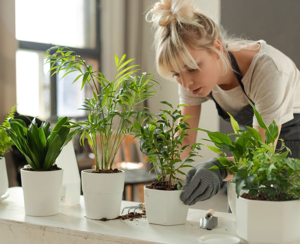 Tips for Growing Healthy and Happy Plants Indoors
