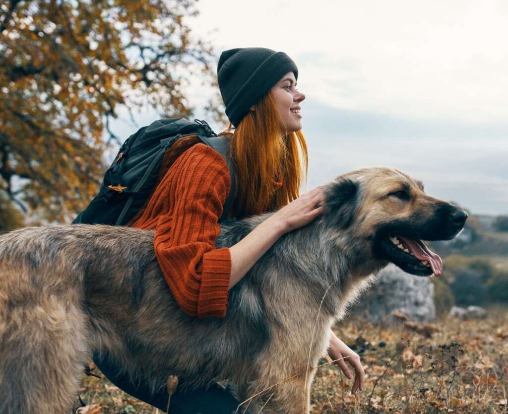 5 Ways To Help Your Dog Burn Off Their Energy 5 Ways To Help Your Dog Burn Off Their Energy