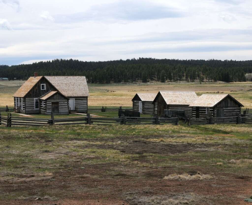 Practical Ideas for Every Homesteader To Do