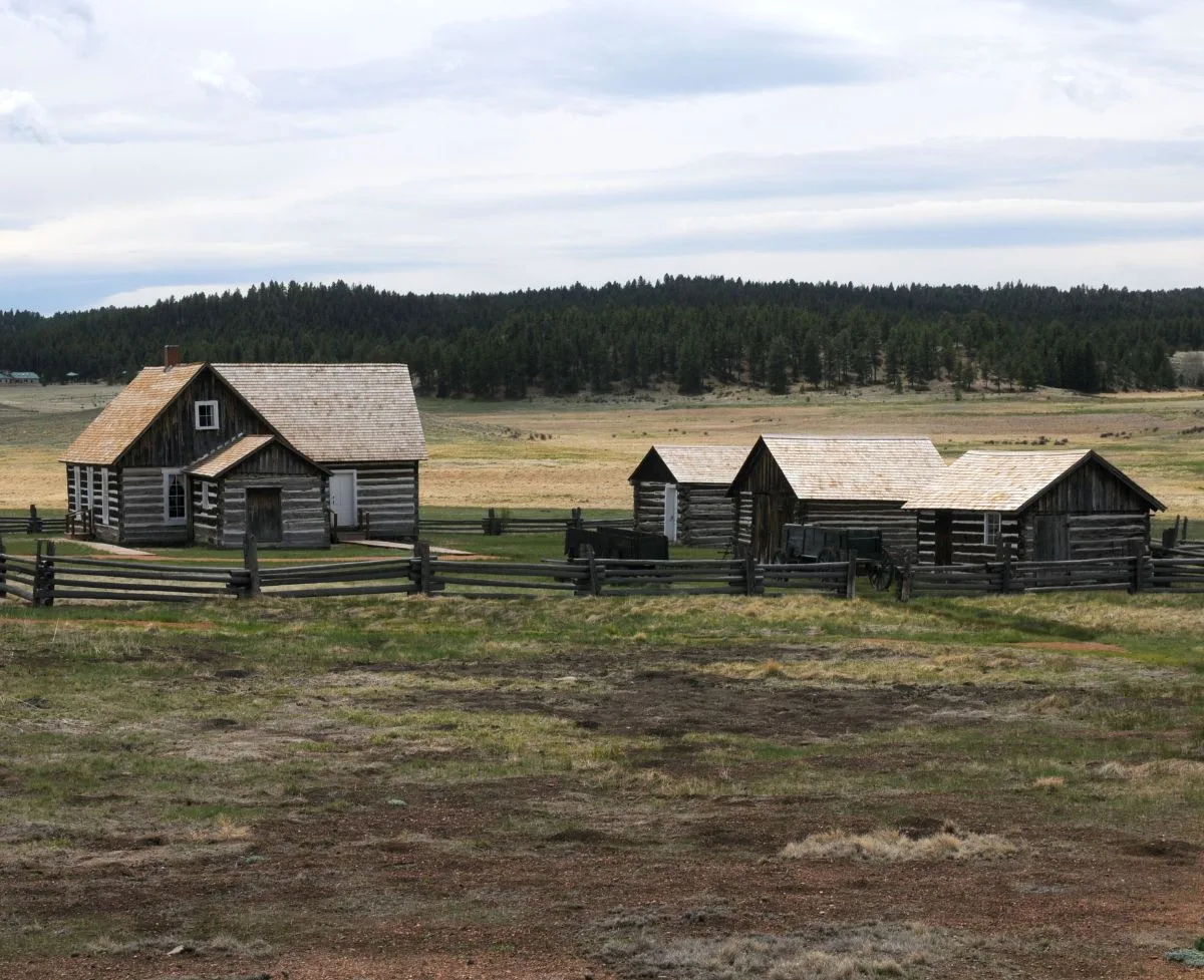 Practical Ideas for Every Homesteader To Do