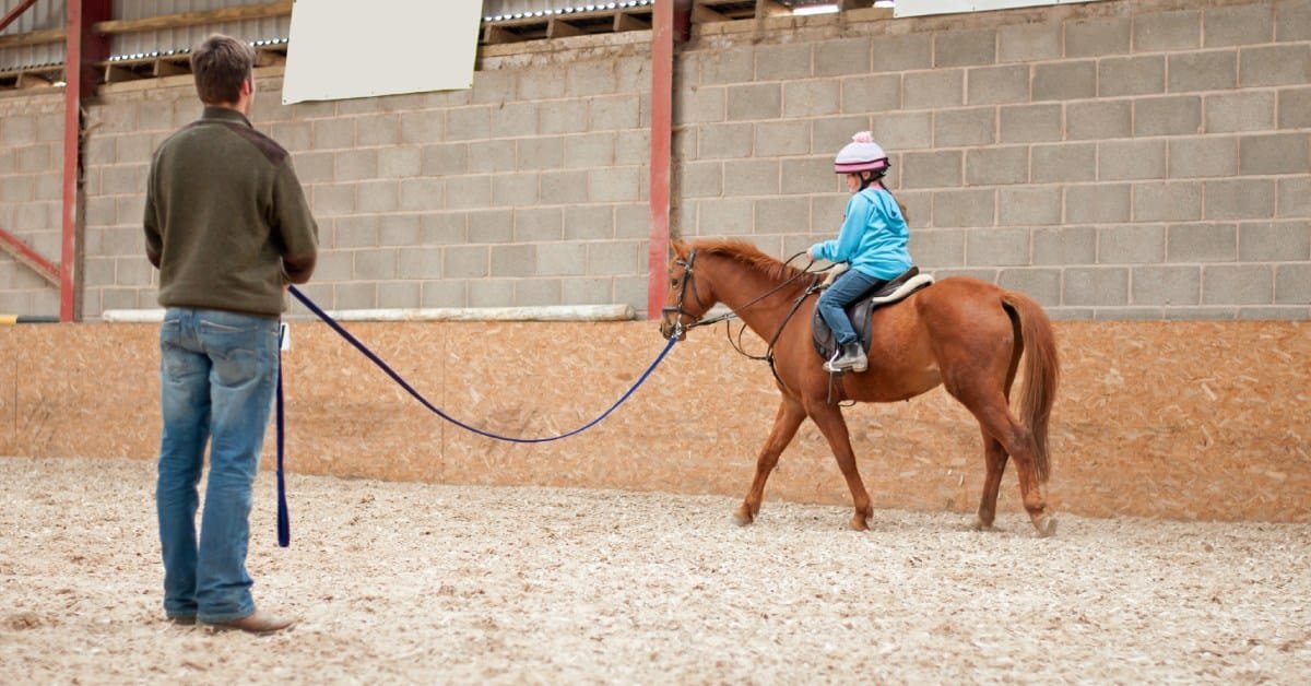 Into the Saddle: Beginner Tips for Horseback Riding