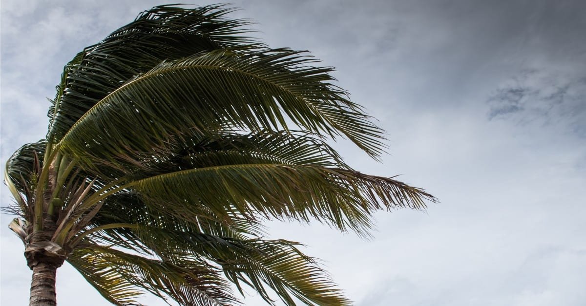 What to Do After a Hurricane Passes Over Your House