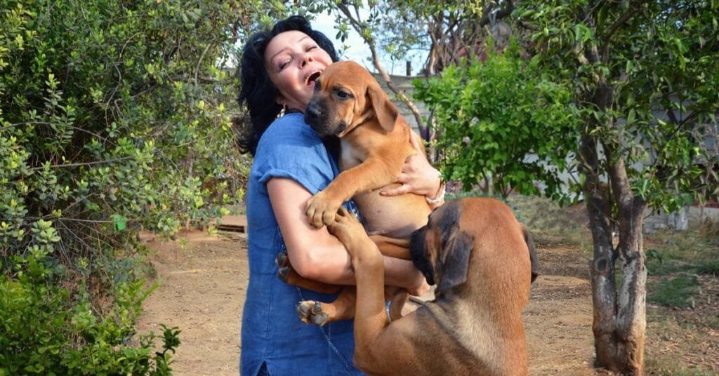 6 Reasons To Choose Trusted Boerboel Breeders