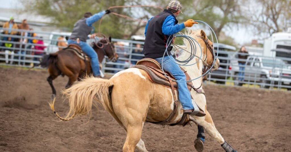Common Mistakes in Roping and How To Avoid Them Common Mistakes in Roping and How To Avoid Them