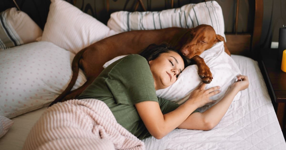 4 Tips for Improving Your Dog’s Sleep Habits
