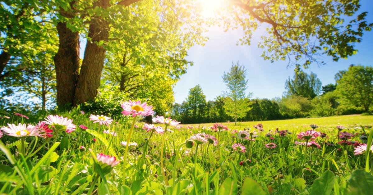 4 Ways To Get Excited for Spring and Summer