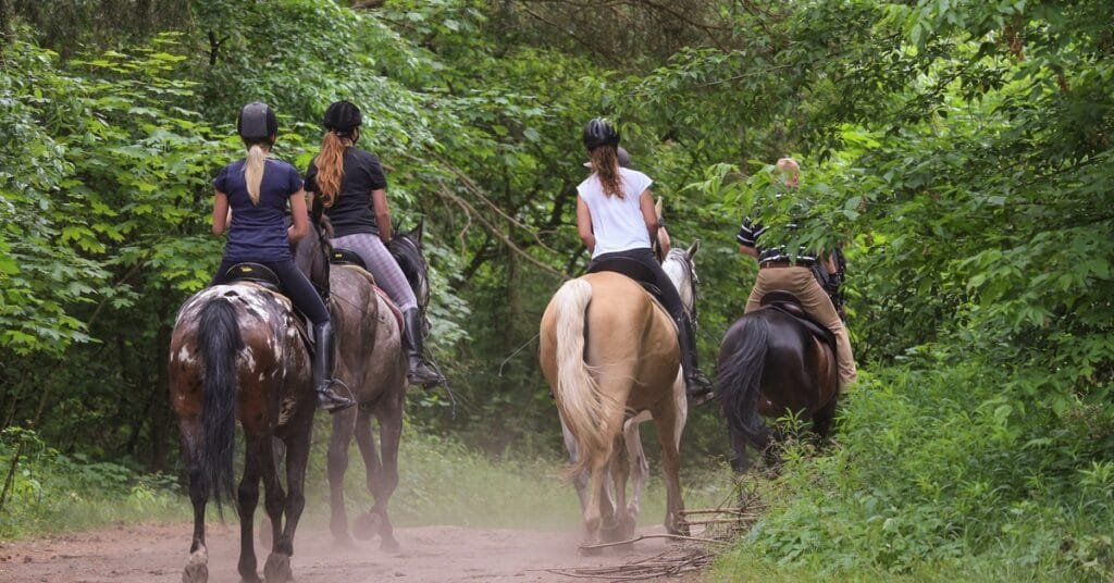 How To Prepare for Your First Trail Ride How To Prepare for Your First Trail Ride
