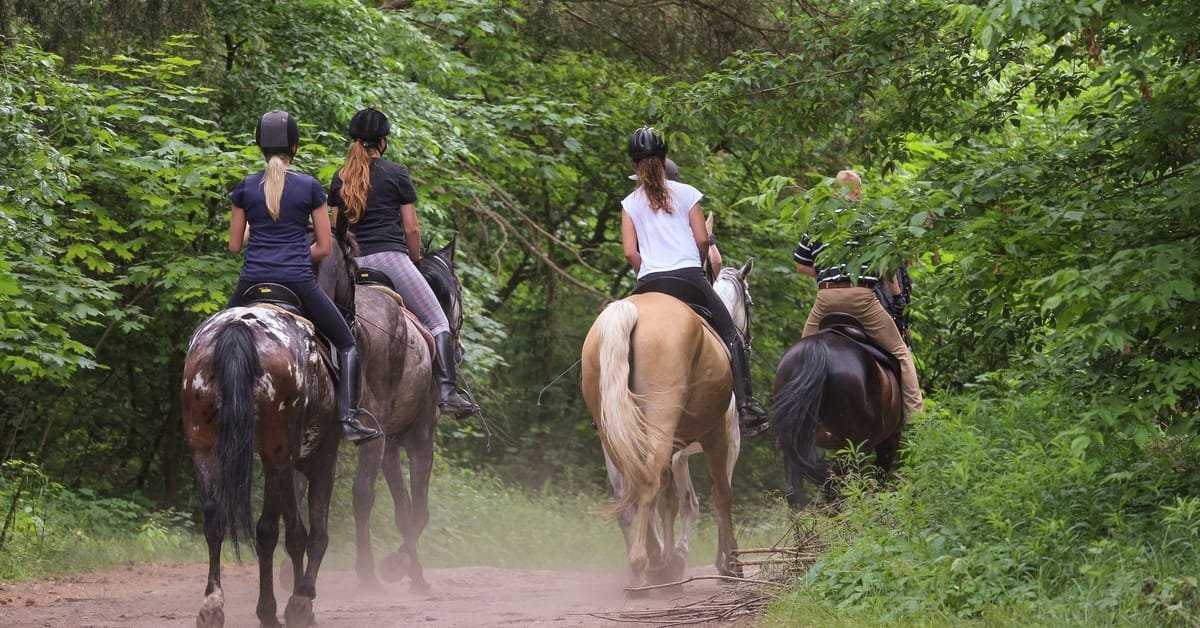 How To Prepare for Your First Trail Ride