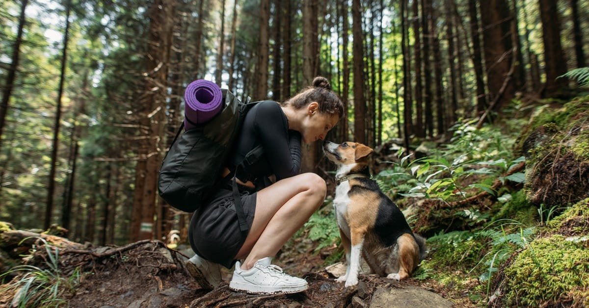 5 Tips for Owners Looking to Improve Their Pet’s Health