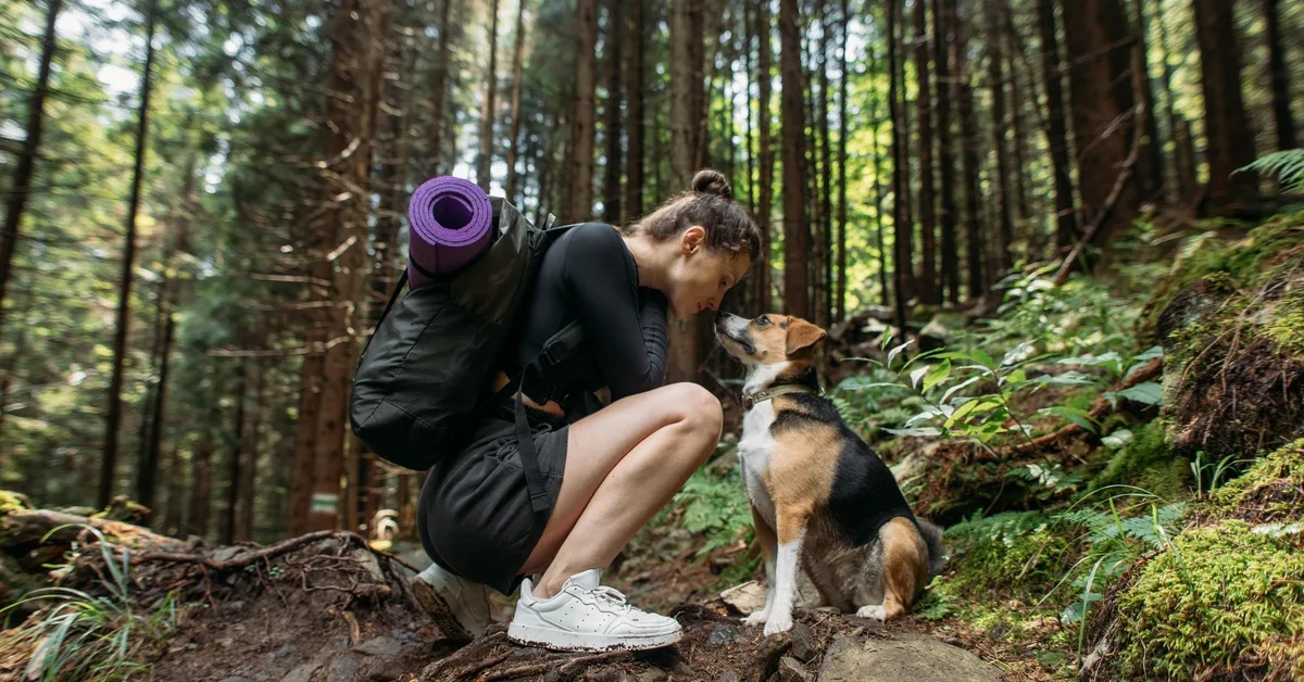 5 Tips for Owners Looking to Improve Their Pet’s Health